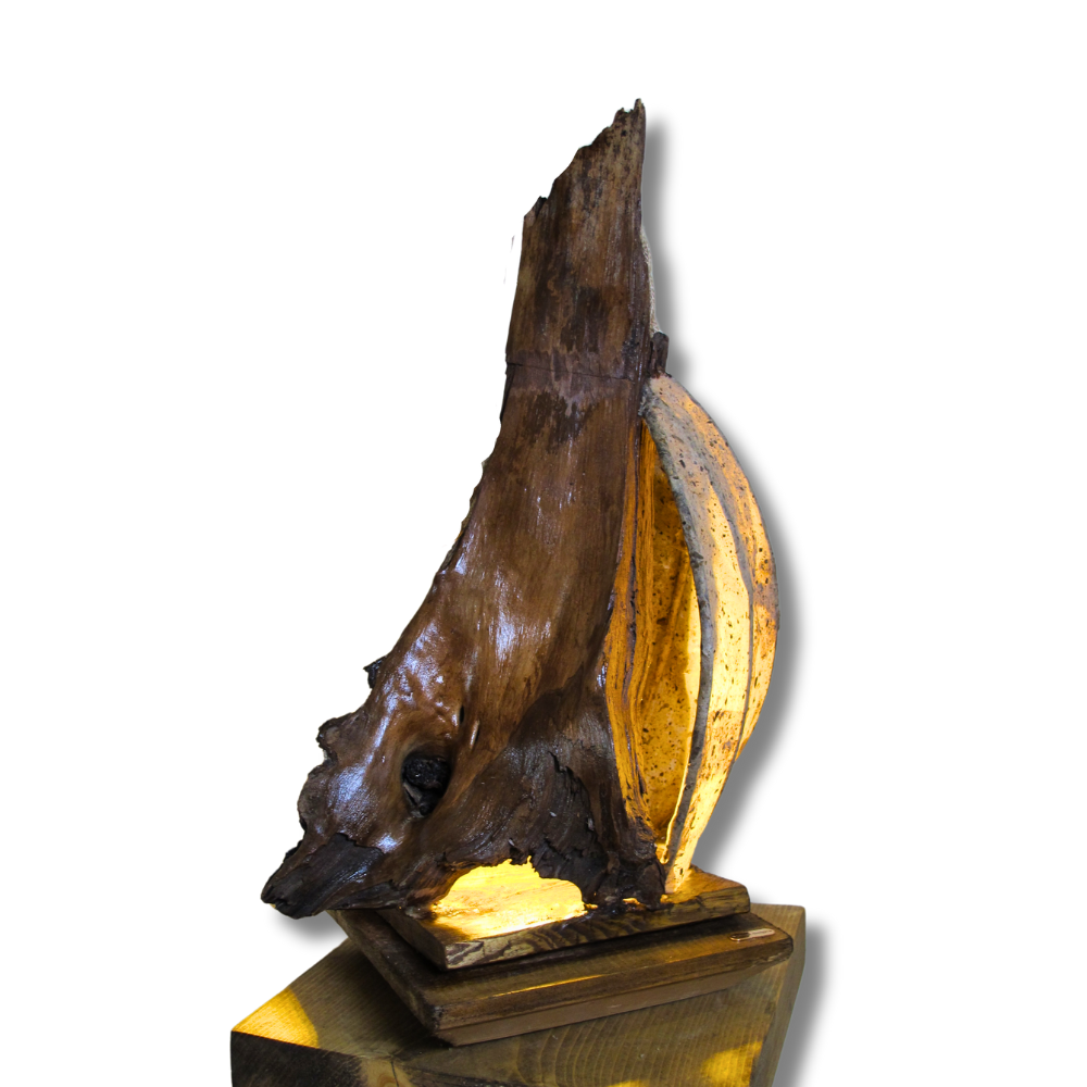 Whirlwood Sculptural Wooden Lamp Handmade Eco-Friendly  Light  Artistic Organic Home Decor