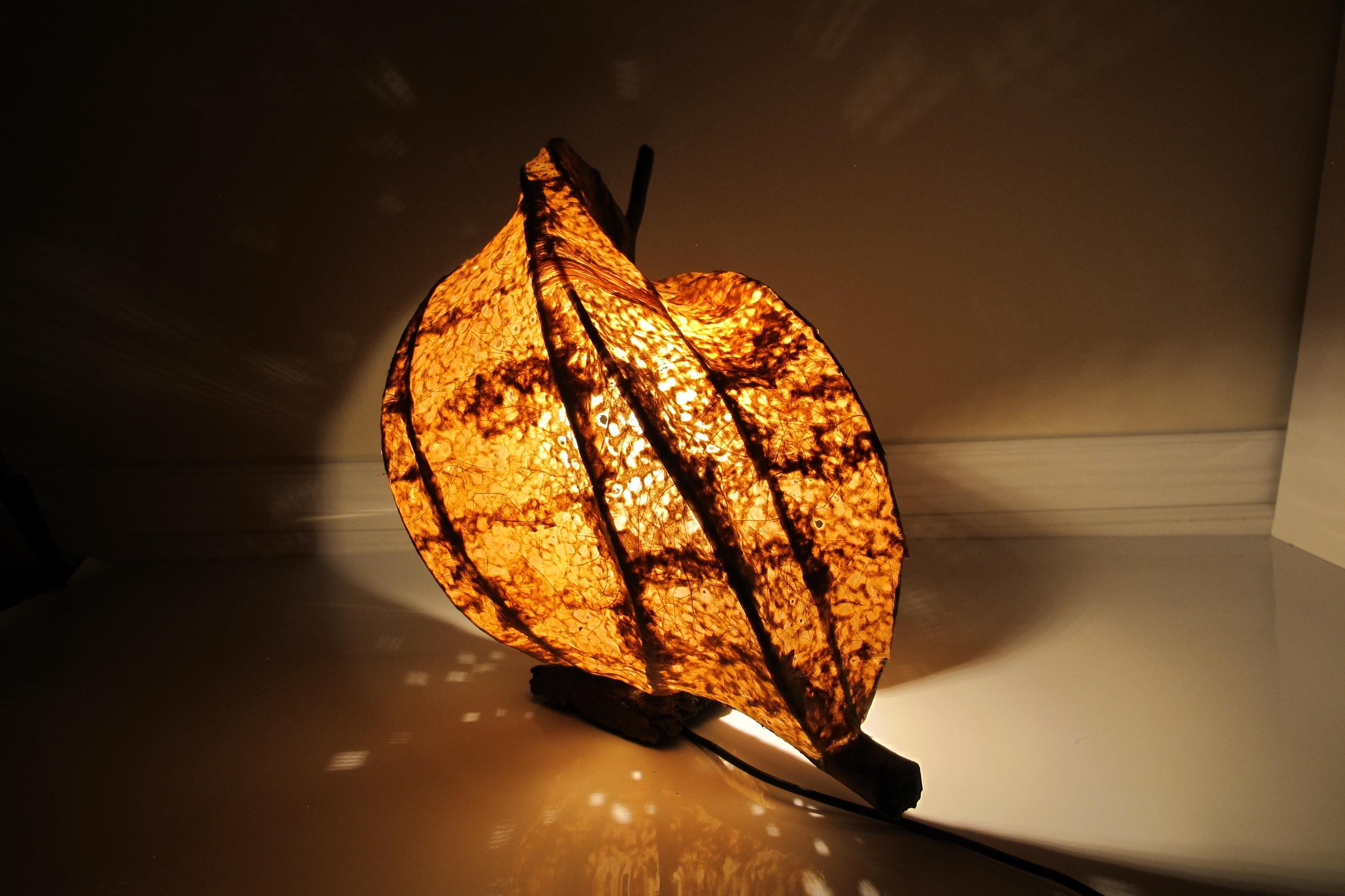 Fernlight – Sculptural Wooden Table Lamp | Handmade Eco-Friendly Light | Nature-Inspired Home Decor