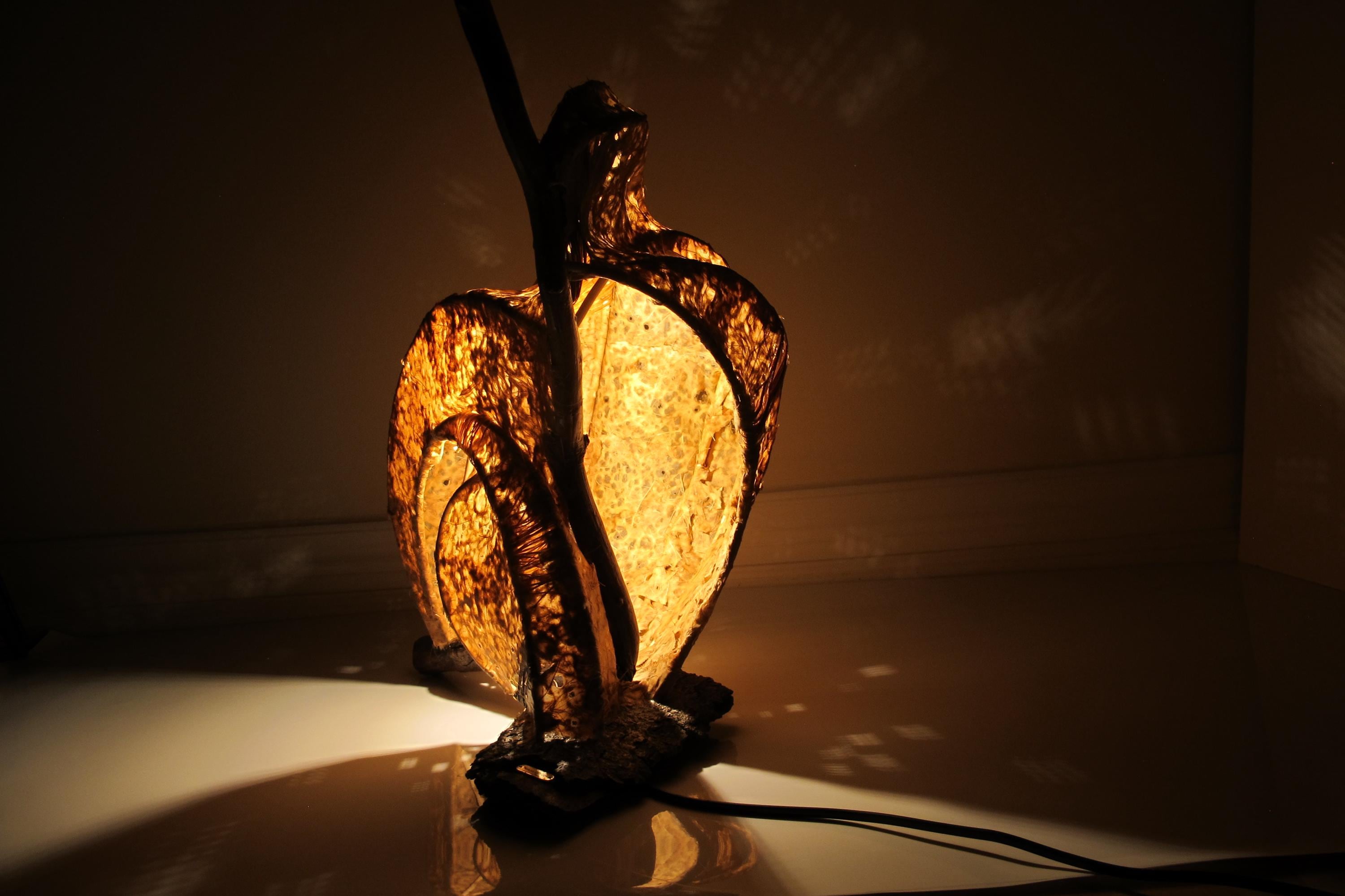 Fernlight – Sculptural Wooden Table Lamp | Handmade Eco-Friendly Light | Nature-Inspired Home Decor