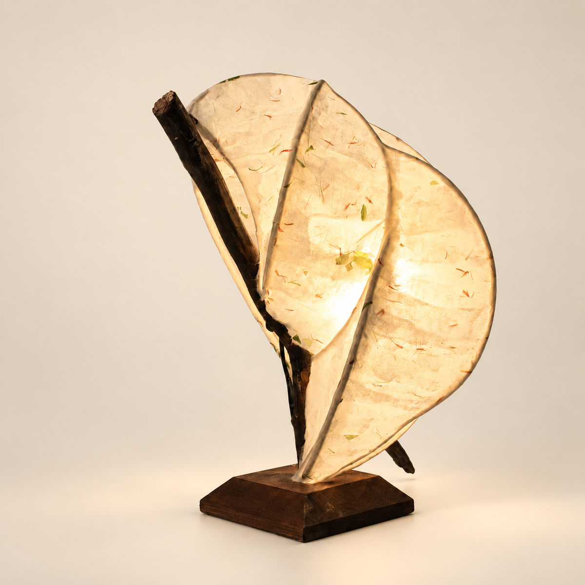 Zarreh sculptural lamp, open side and driftwood structure on warm ivory